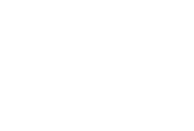 Vortex Security